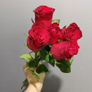 Букет из 5 Красных Роз