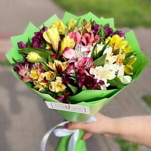 Букет «Пояс венеры» из альстромерий