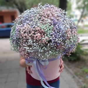 Радужная гипсофила в шляпной коробке