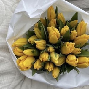 Букет желтых тюльпанов 25 шт