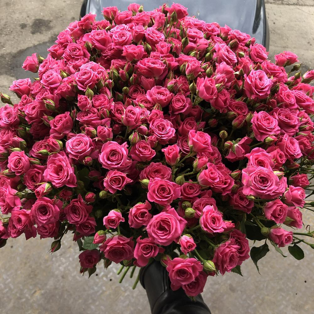 9 41mm starlight loop. 9 41 pink. Смарт-часы apple watch series 9 gps 45мм s/m корпус из алюминия pink. 9 41 pink. Apple watch 4 pink sand.