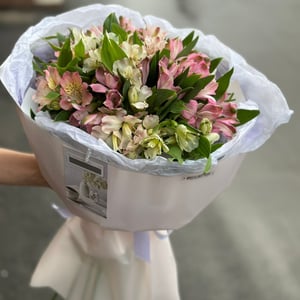 Монобукет из 19и нежных альстромерий