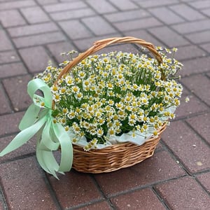 Корзинка с ромашками