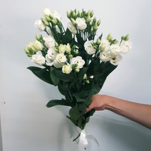 Букет «Бриз» из эустом