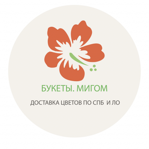 ИП Галлямов Амир Тимурович