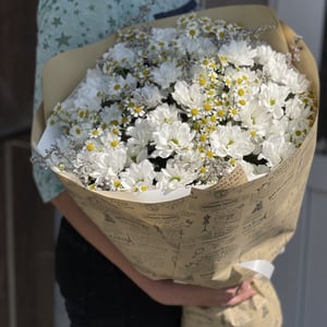 Букет «Ромашки микс»