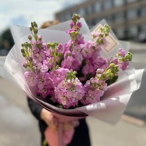 Букет «Фиано» из экзотических цветов