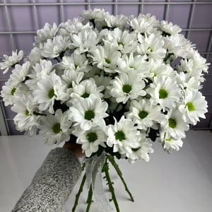 Букет из 5 хризантем