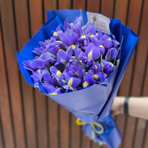 Букет «Куеро» из ирисов