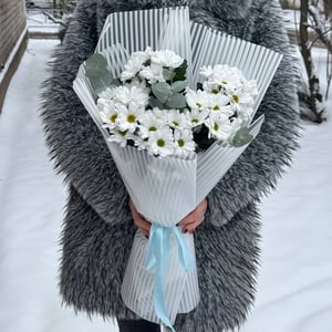 Букет Из Белой Хризантемы