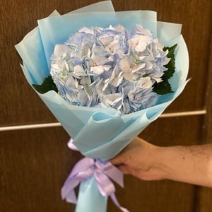 Букет «Агнесина» из гортензий